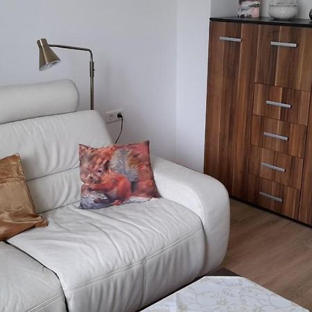 Ferienwohnung Christel Hirschhorn-Neckar Buitenkant foto
