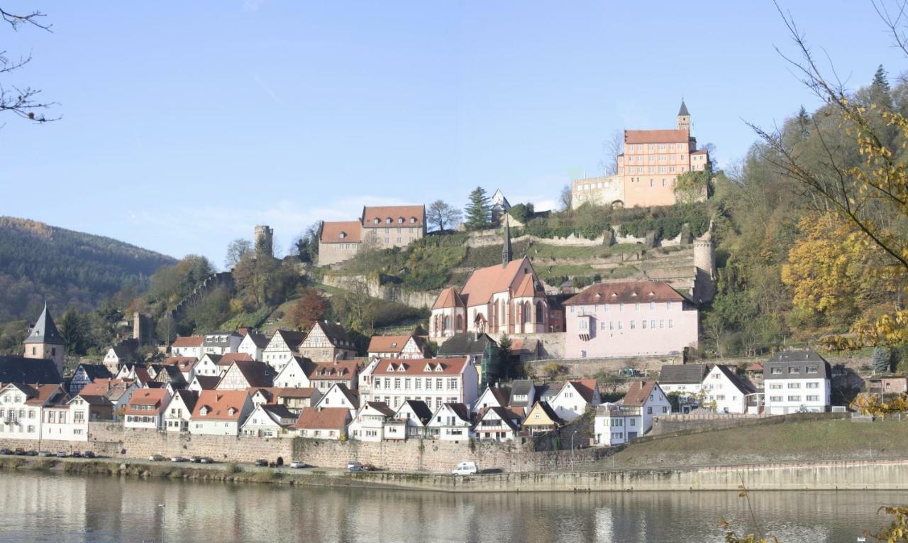 Ferienwohnung Christel Hirschhorn-Neckar Buitenkant foto