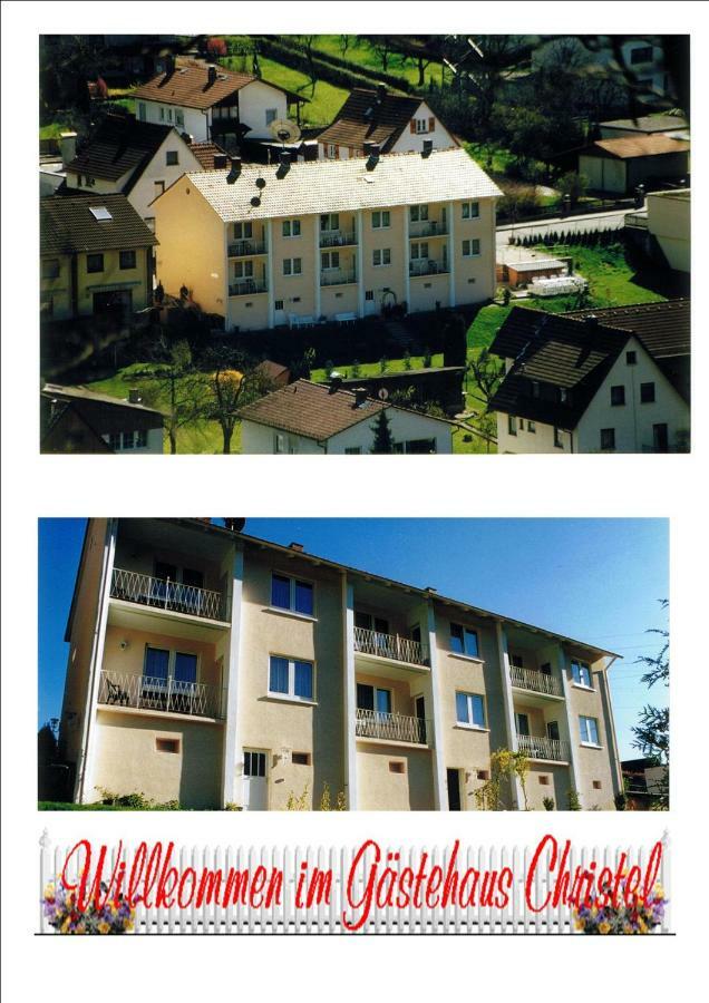 Ferienwohnung Christel Hirschhorn-Neckar Buitenkant foto