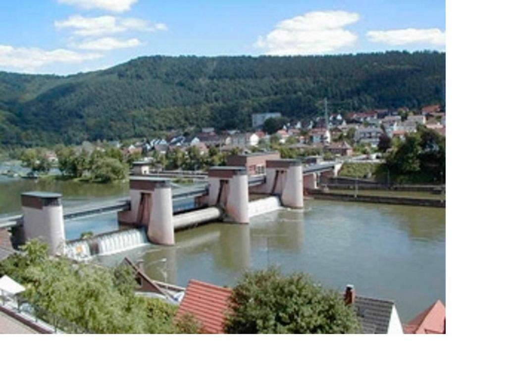 Ferienwohnung Christel Hirschhorn-Neckar Buitenkant foto