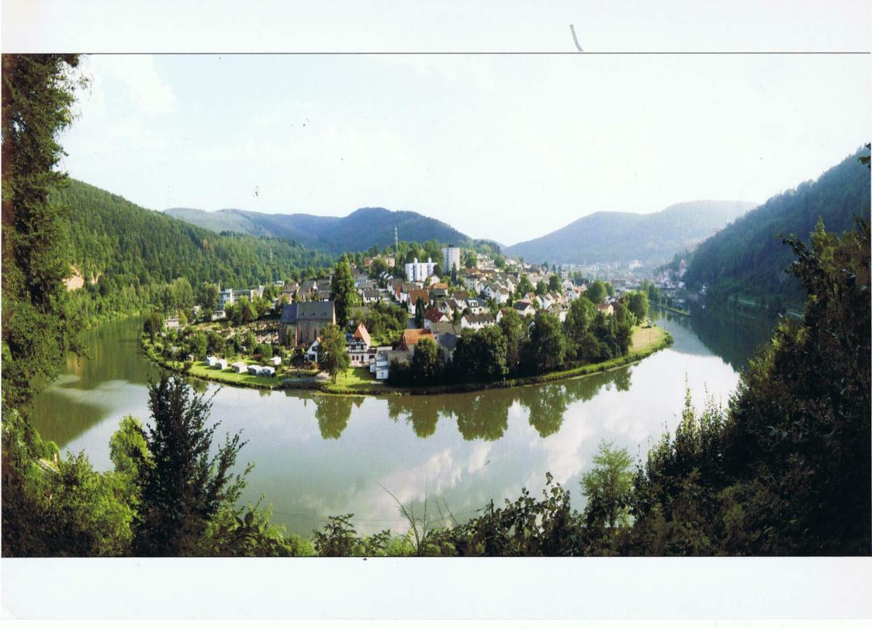 Ferienwohnung Christel Hirschhorn-Neckar Buitenkant foto